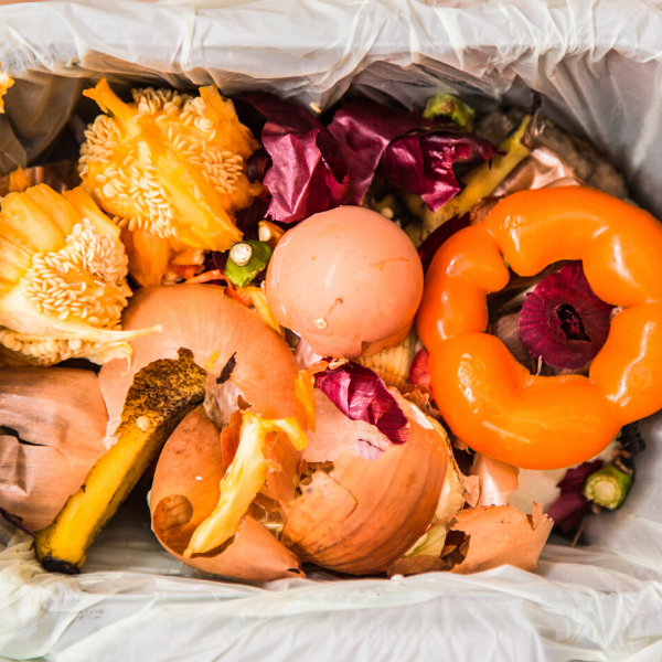 Blog-Main-how-reducing-food-waste-can-save-your-restaurant