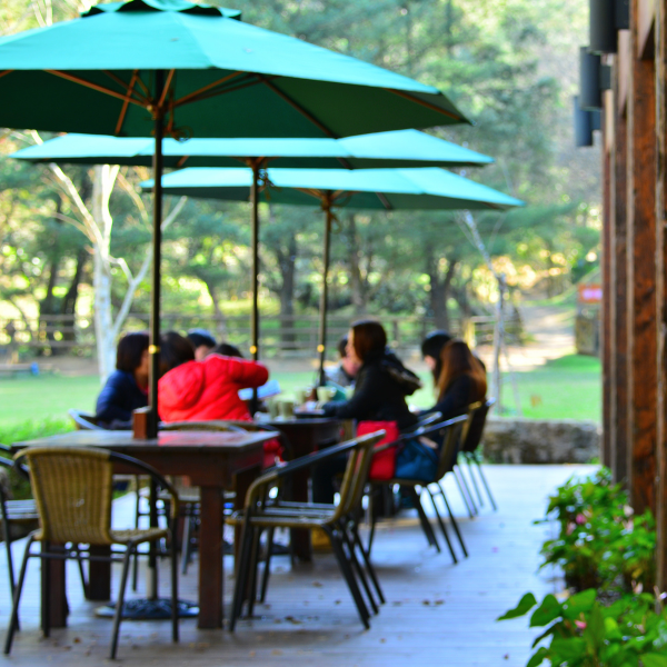 Blog-Main-how-to-keep-customers-cool-in-outdoor-areas-tips-and-tricks