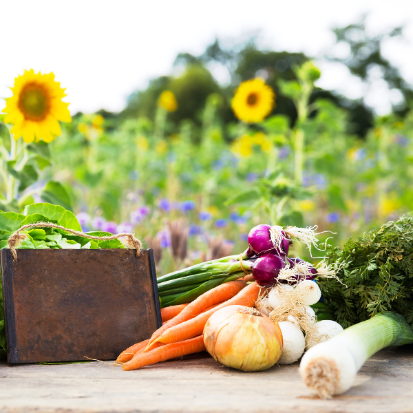 Blog-Main-what-is-farm-to-table