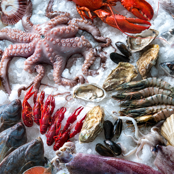 Top Catering Essentials For Seafood Supplies