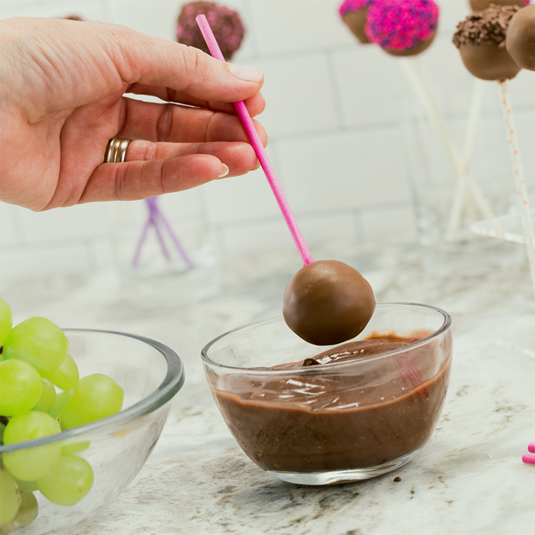 Cake Pop, Lollipop, and Candy Apple Sticks