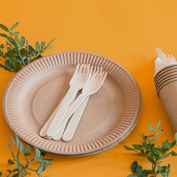 Paper Plates