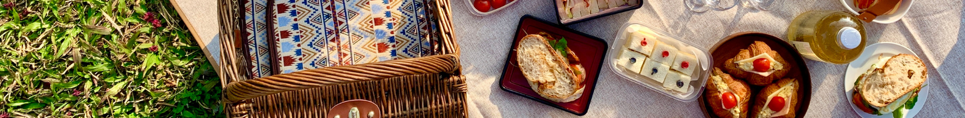 Blog-Banner-best-food-for-picnics