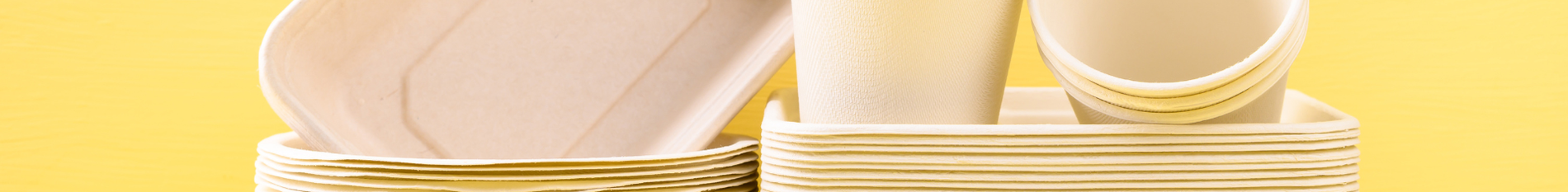 Blog-Banner-biodegradable-vs-compostable-whats-the-difference