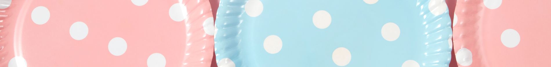 Blog-Banner-disposable-dinner-plate-buying-guide