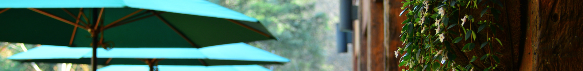 Blog-Banner-how-to-keep-customers-cool-in-outdoor-areas-tips-and-tricks