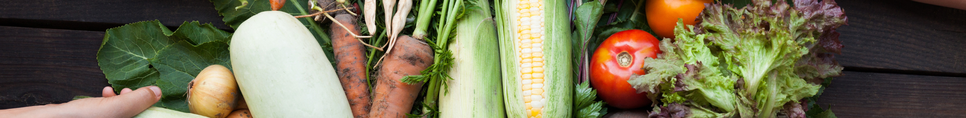 Blog-Banner-sustainability-certifications-in-the-food-industry