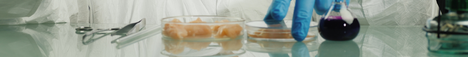 Blog-Banner-what-is-lab-grown-meat