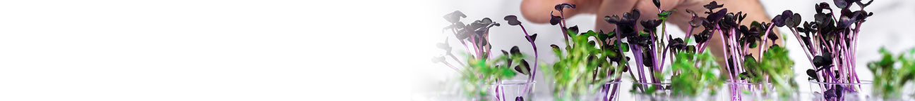 Blog-category-banner-tech-and-innovation