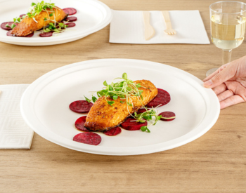 Bagasse plate with food