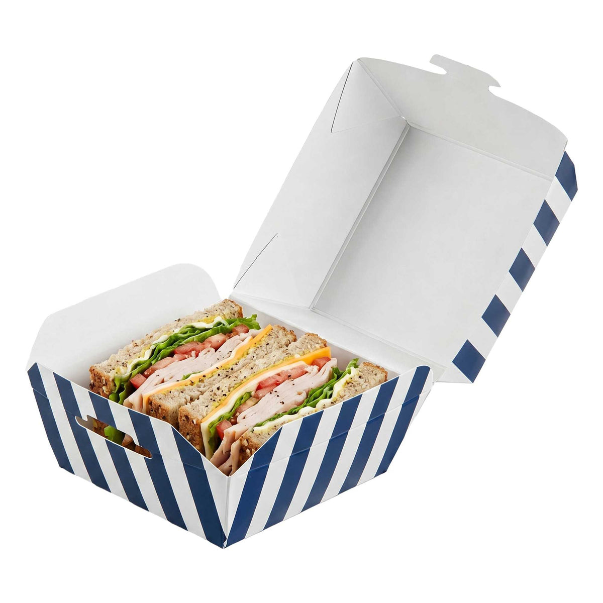 Bio Tek Blue and White Stripe Paper Slider Box - 2 1/2