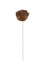 White Paper Coffee Stirrer and Lollipop Stick - Biodegradable - 6