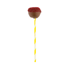Yellow Paper Cake Pop and Lollipop Stick - Spirals, Biodegradable -6