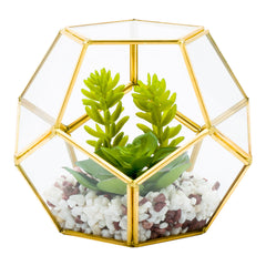 Plastic Table Art Faux Succulent Arrangement - Pentagon Glass Terrarium, Gold - 6 3/4