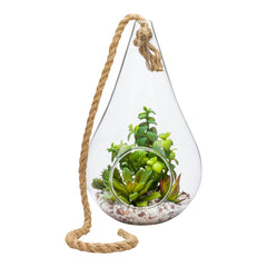 Plastic Table Art Faux Succulent Arrangement - Hanging Glass Terrarium, Knotted Hemp Rope - 7 3/4