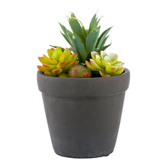 Plastic Table Art Faux Succulent Arrangement - Cement Flower Pot, Brushed Charcoal - 5 1/2