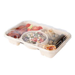 Pulp Tek Rectangle Clear Plastic Flat Lid - Fits Bagasse To Go Container - 100 count box