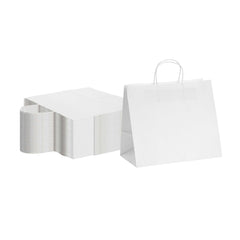Saving Nature White Paper Retail Bag - with Handles - 12 1/2