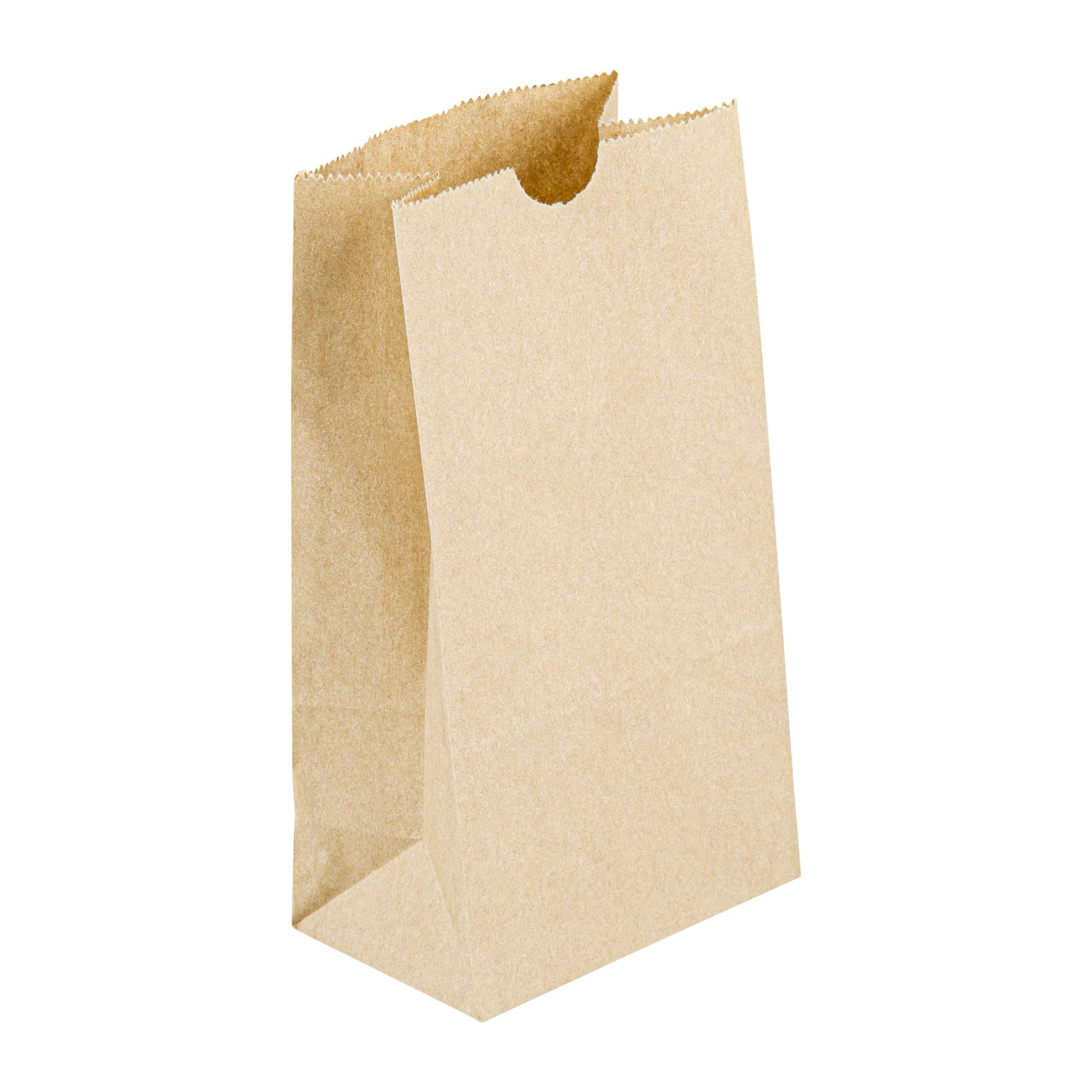 SustainaLite 3 lb Kraft Paper Bag - 4 3/4" x 3" x 8 1/2" - 500 count box