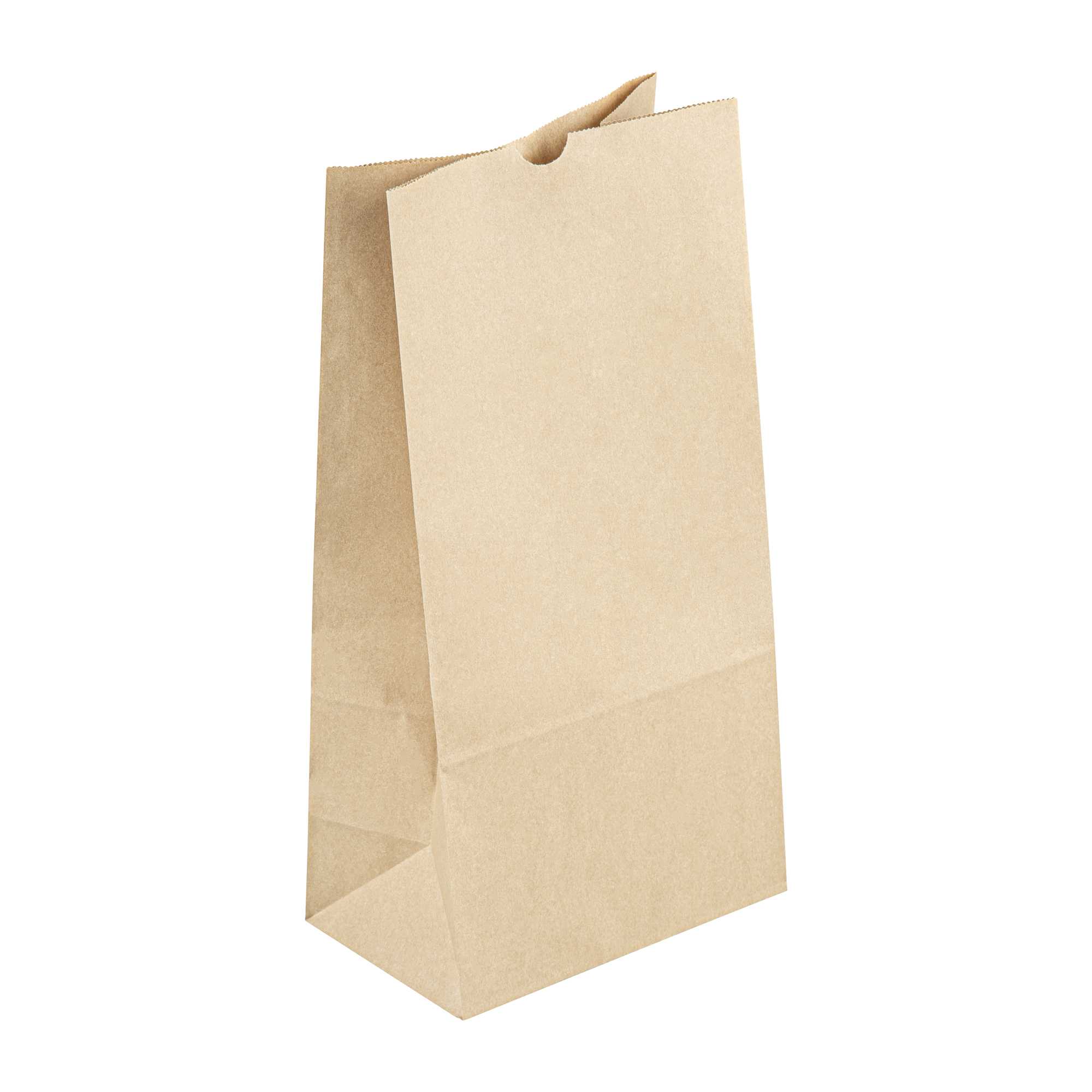 SustainaLite 25 lb Kraft Paper Bag - 8 1/4" x 5 1/4" x 16 1/2" - 500 count box
