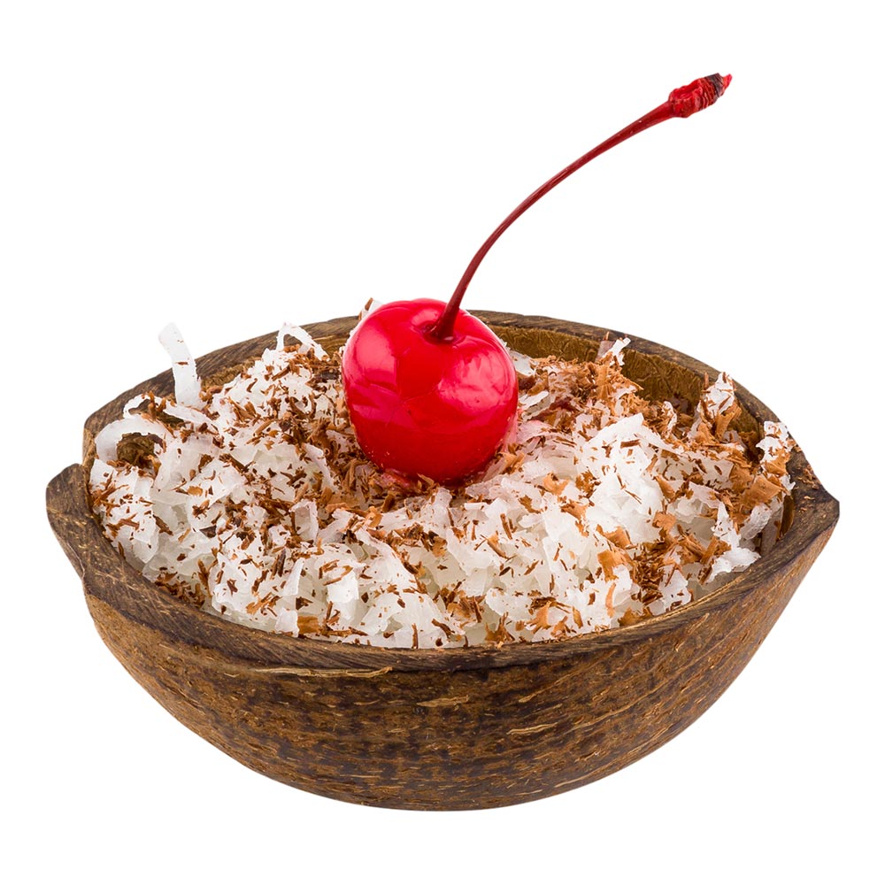 Coco Casa Natural Coconut Shell Bowl - 10 count box