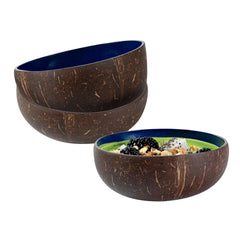 Coco Casa 16 oz Metallic Blue Handmade Coconut Bowl - 1 count box