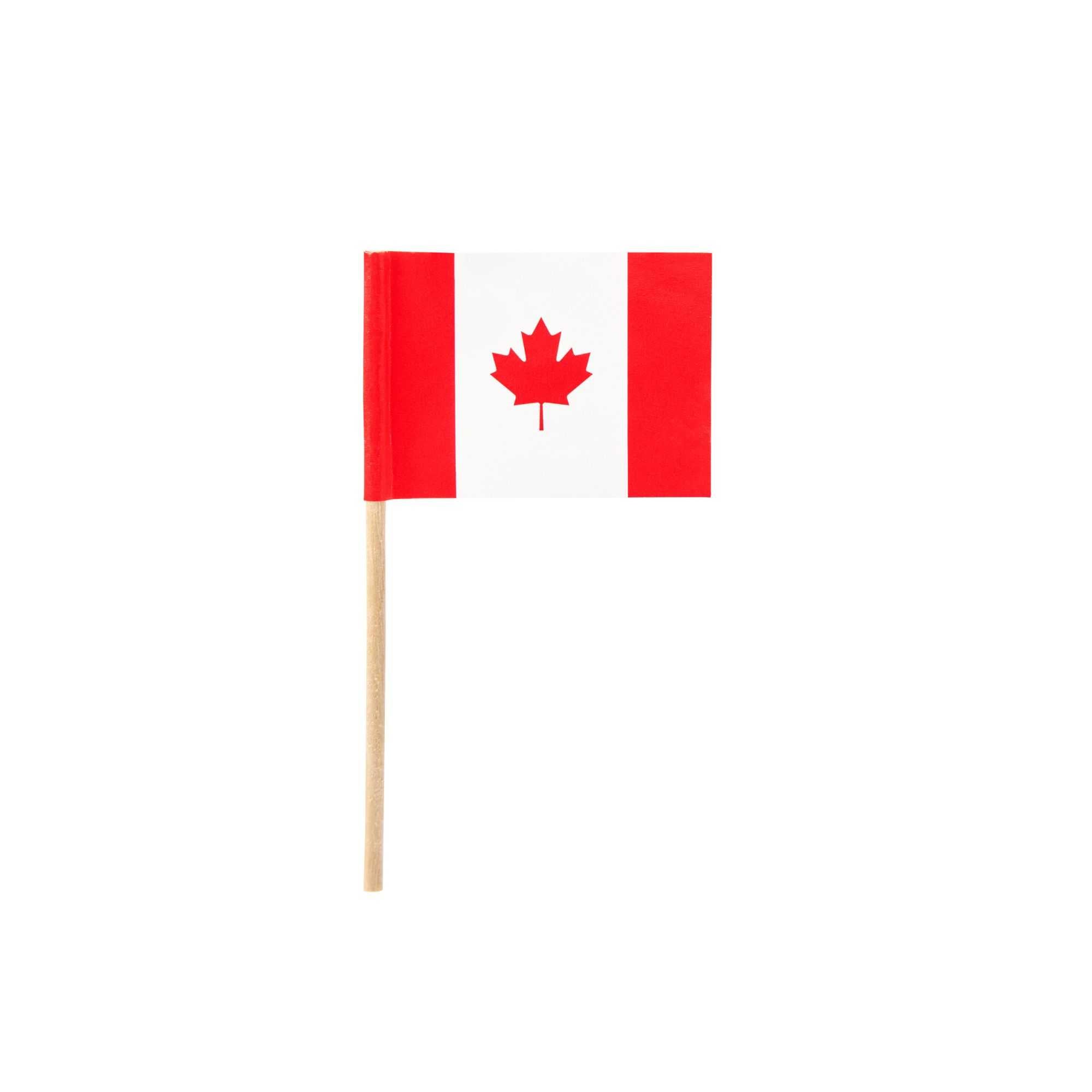 Chef 101 Canadian Flag Food Pick - 2 1/2" - 100 count box