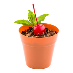 4 oz Round Terracotta Plastic Mini Flower Pot - 2 1/2