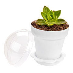 6 oz White Plastic Mini Flower Pot Cup - with Lid - 3