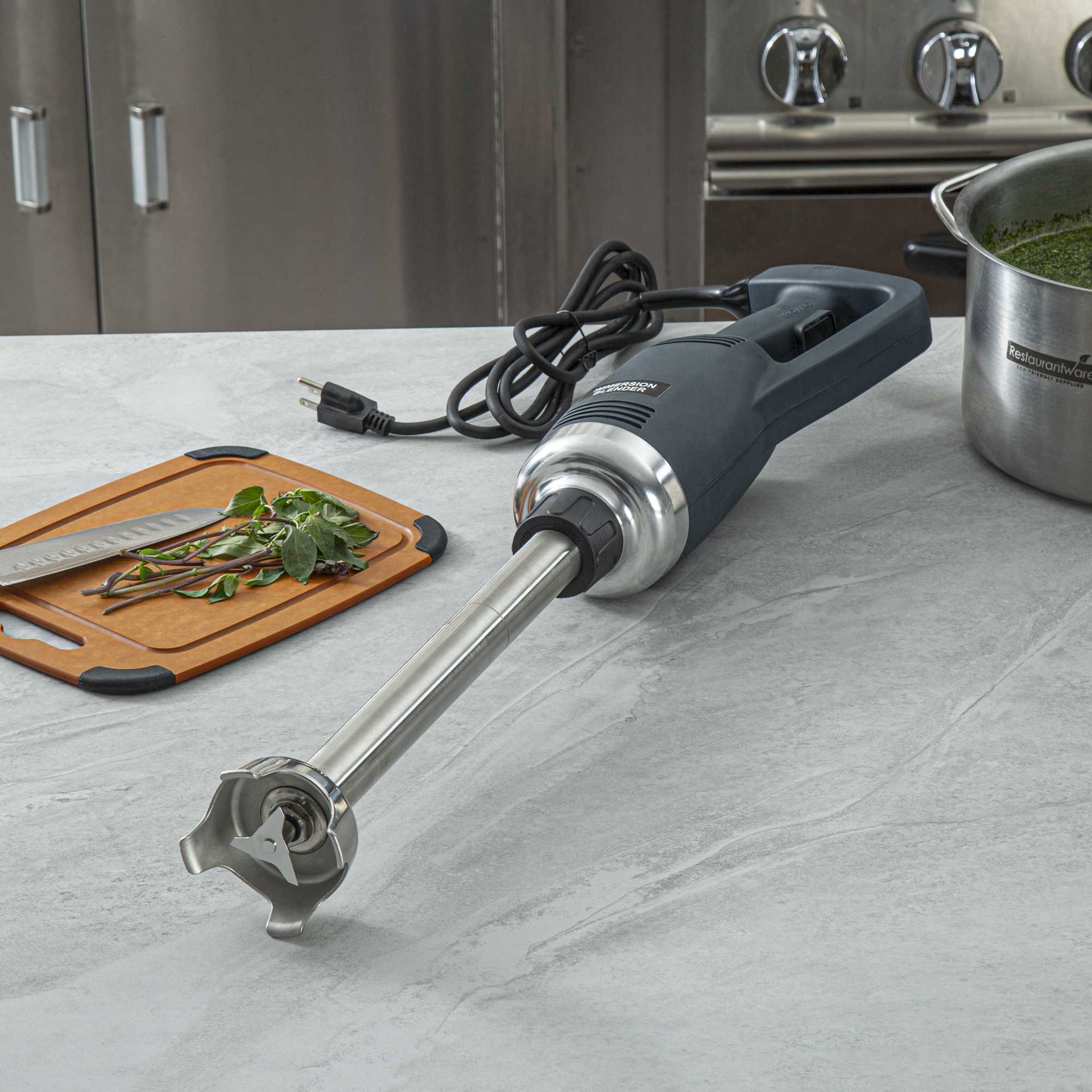 Hi Tek Blue Immersion Blender - with 16" Shaft, Variable Speed, 1 HP - 1 count box