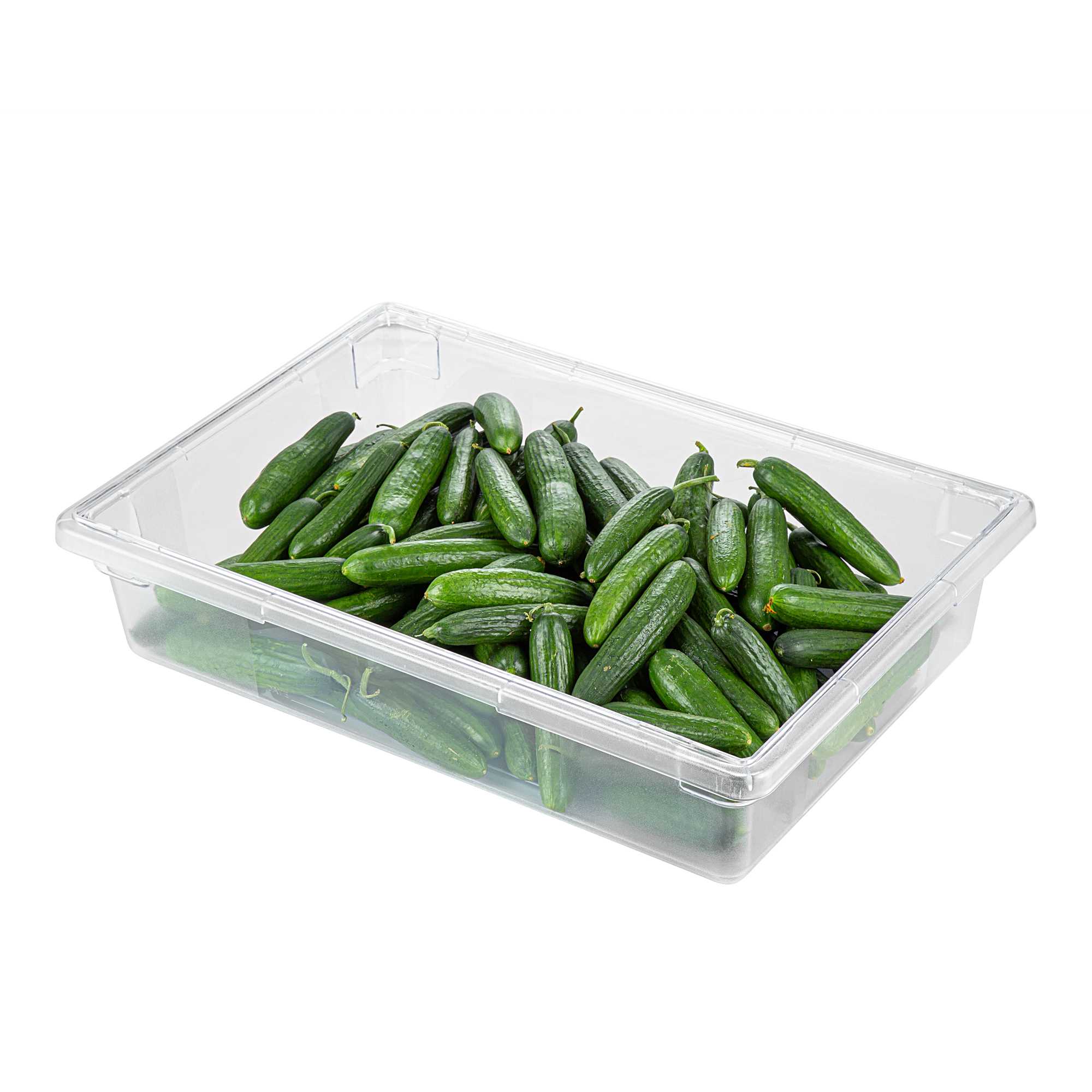 Met Lux Rectangle Clear Polycarbonate Food Storage Box - with Labeling Windows - 26" x 18" x 6" - 10 count box