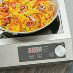 countertop_induction_burners_and_induction_cookers_most_popular_220_v.jpg