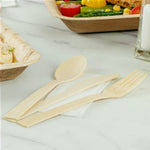 eco_friendly_disposable_cutlery_type_dessert_spoons.jpg