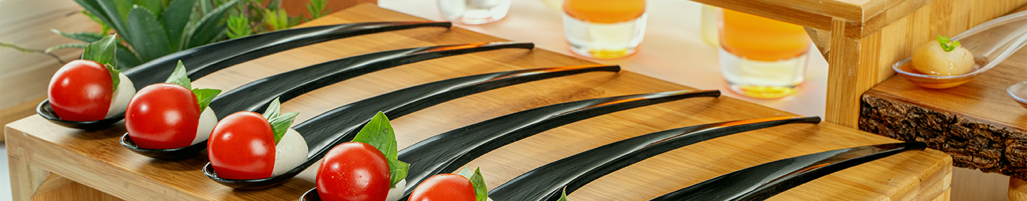 Disposable Party Supplies