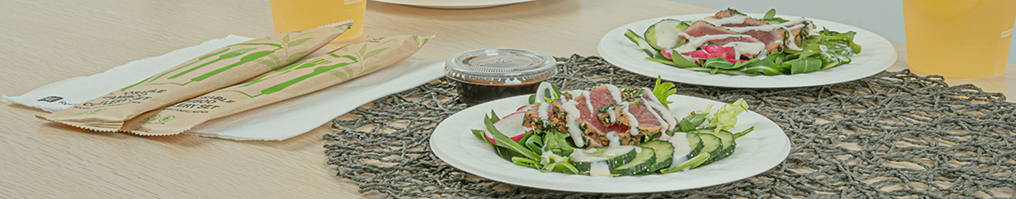 Disposable Plastic Dinnerware