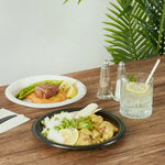 plastic_disposable_plates_most_popular_everyday.jpg