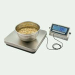 receiving_scales_most_popular_digital.jpg